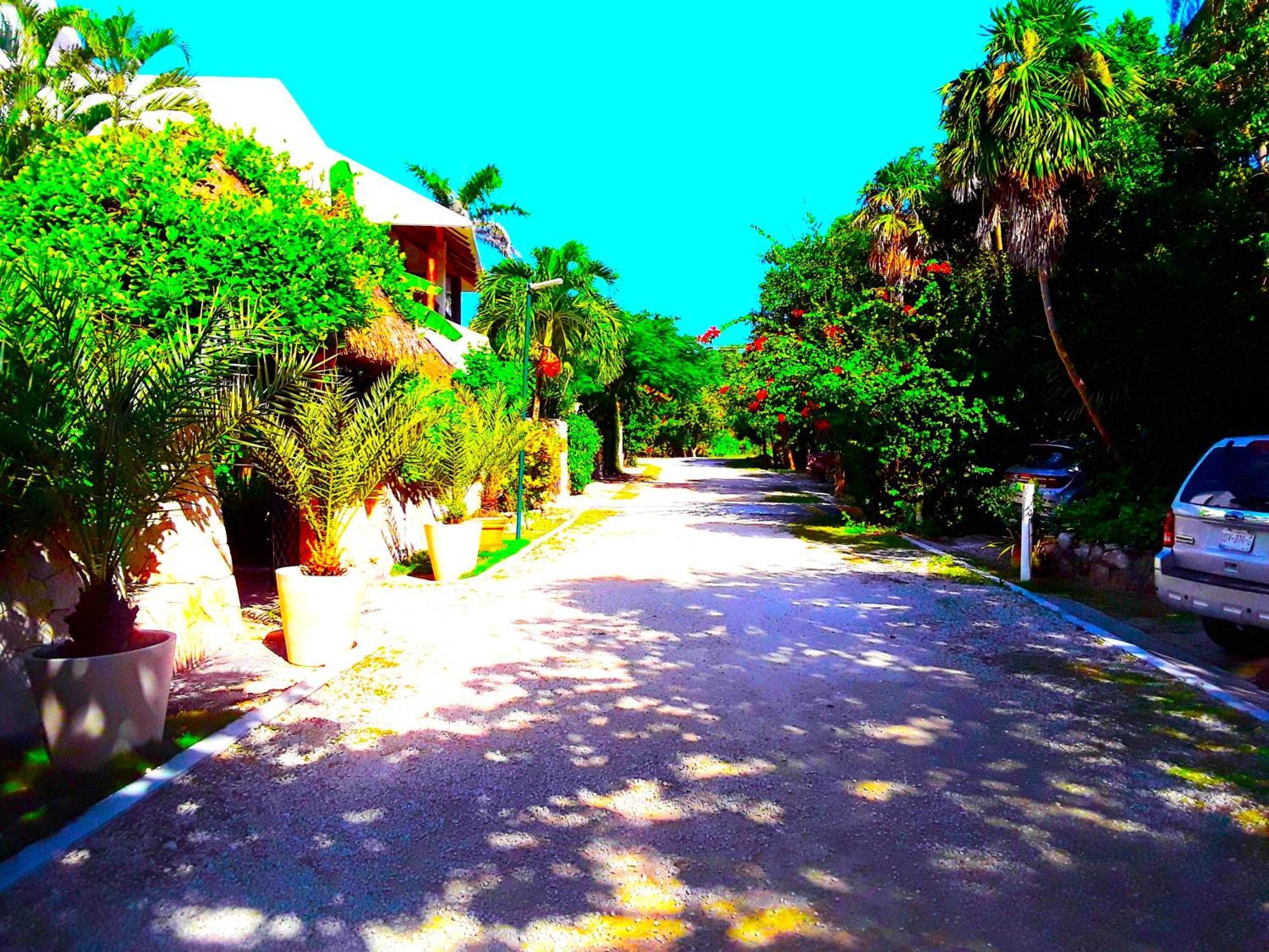 Casa Gatos Aparthotel Akumal Exterior foto